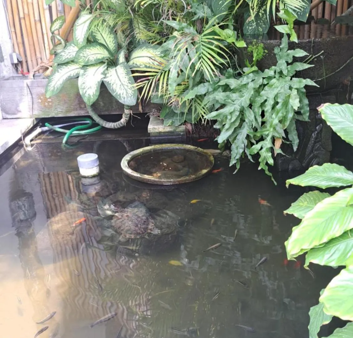 Villa Chill Bali Seminyak